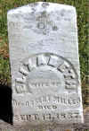 g108revrmillereliz.jpg (19943 bytes)