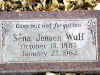 SenaJensenWulf.jpg (18376 bytes)